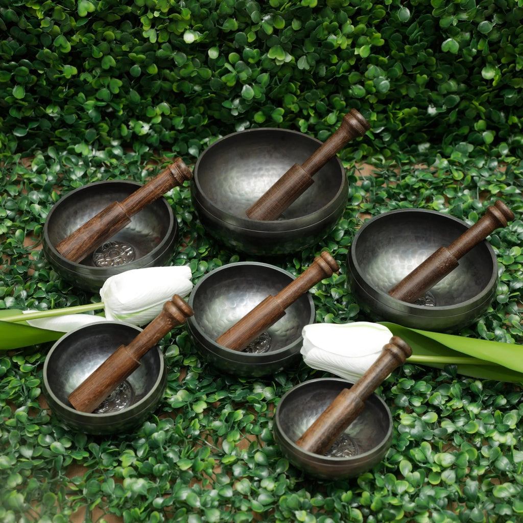 6 Chandra Bowl Set